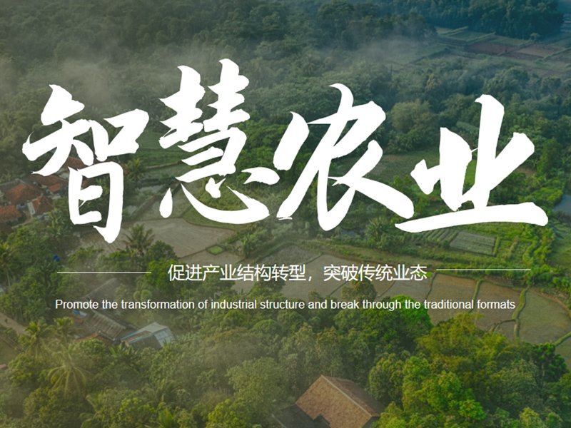 短视频AI工具实用清单：从脚本到成片